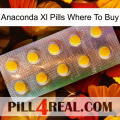 Anaconda Xl Pills Where To Buy new11